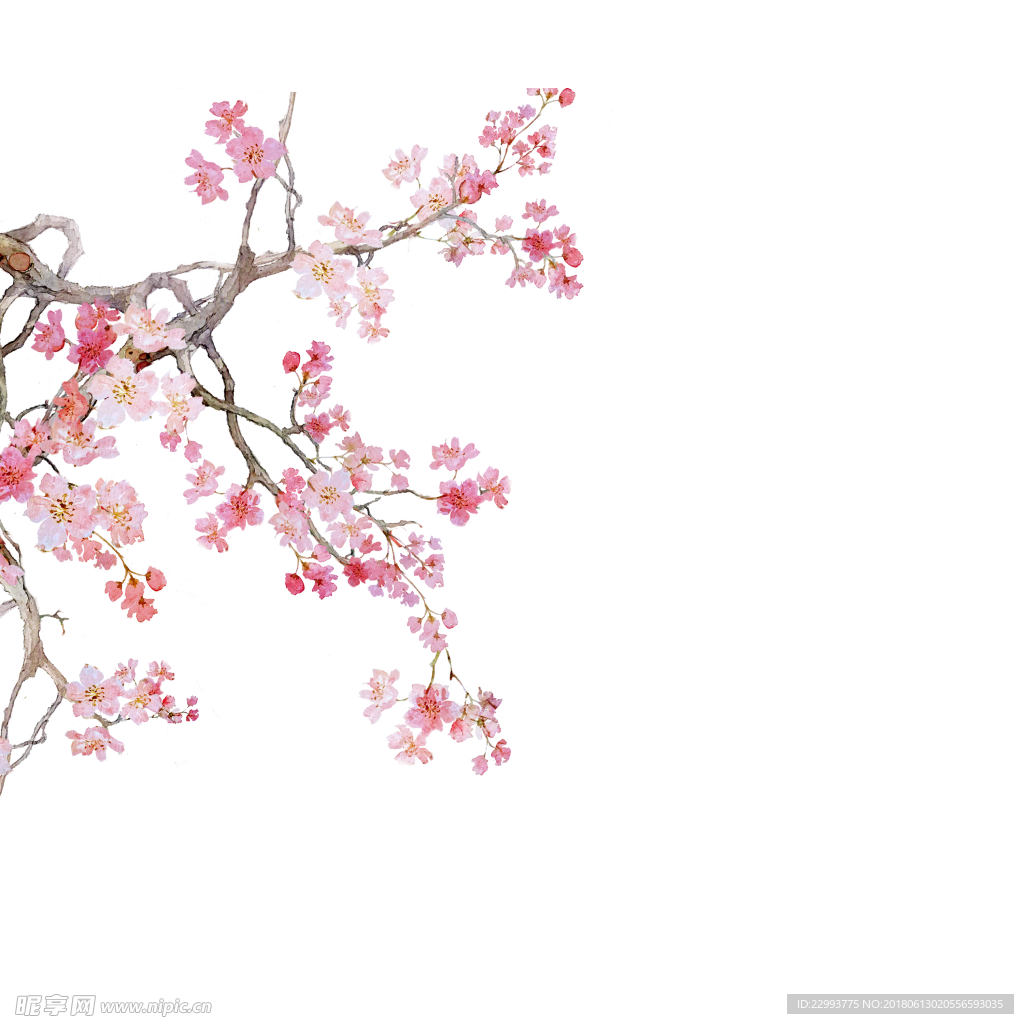 梅花