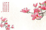 玉兰花