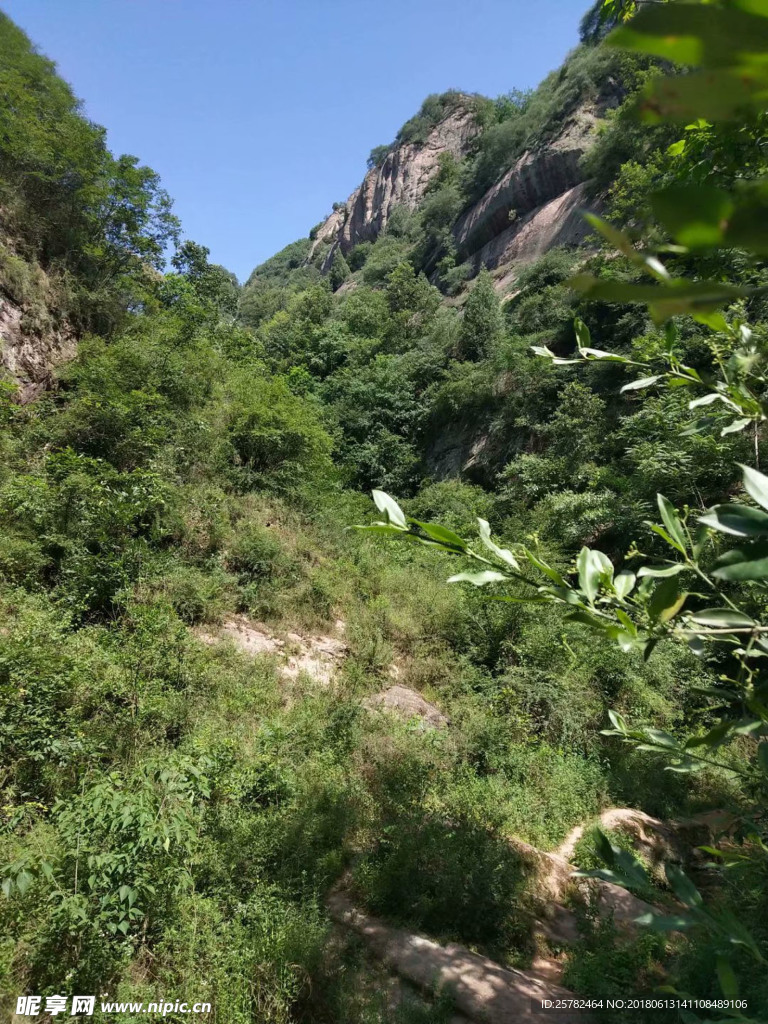 山林