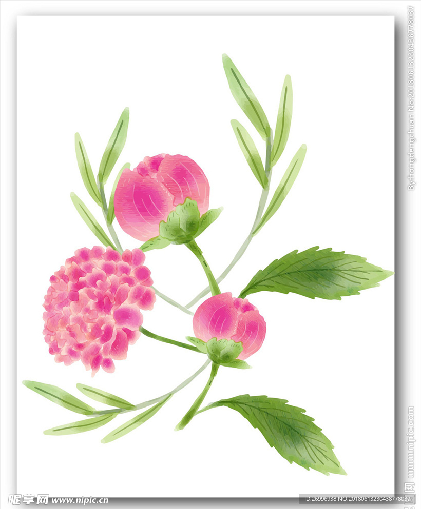 鲜花图片