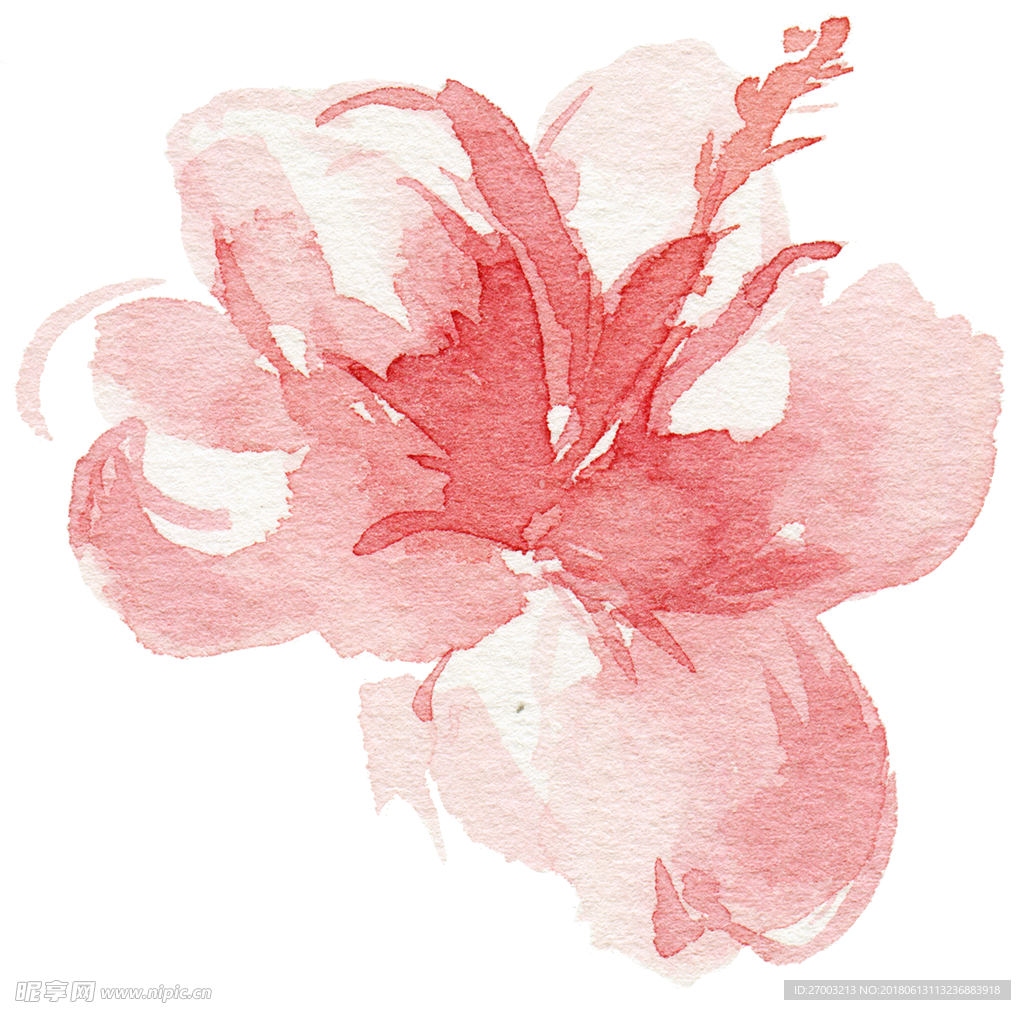 花卉