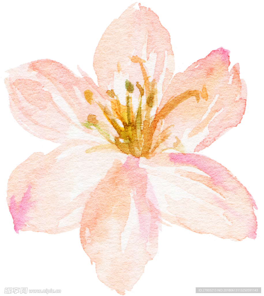 花卉