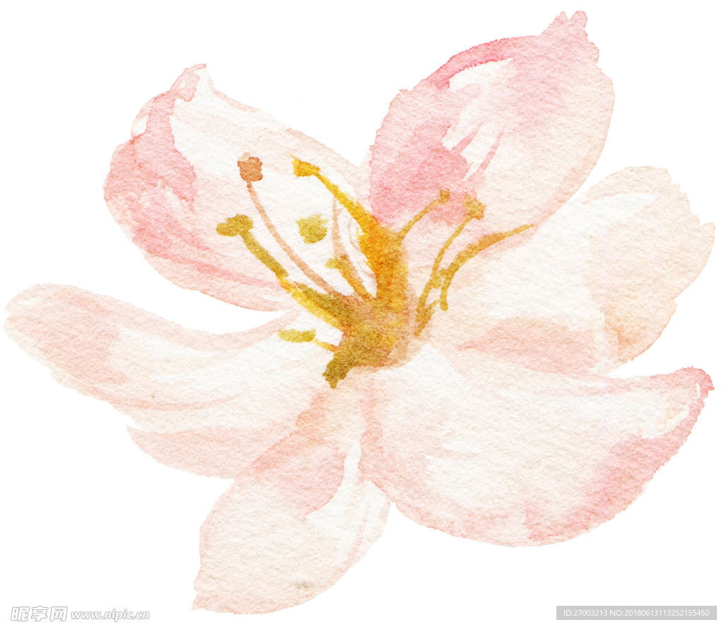 花卉