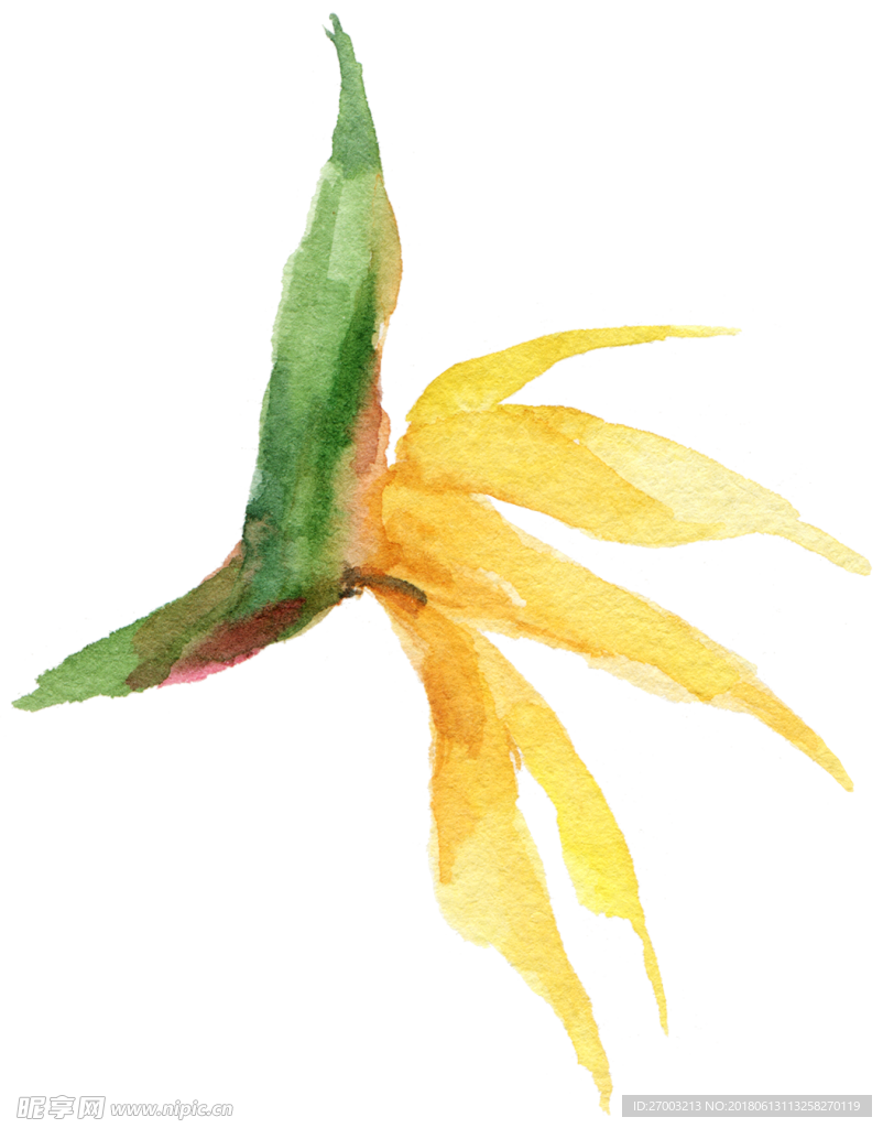 花卉