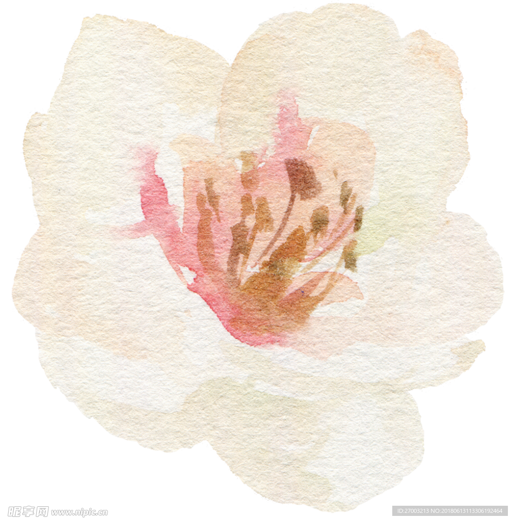花卉