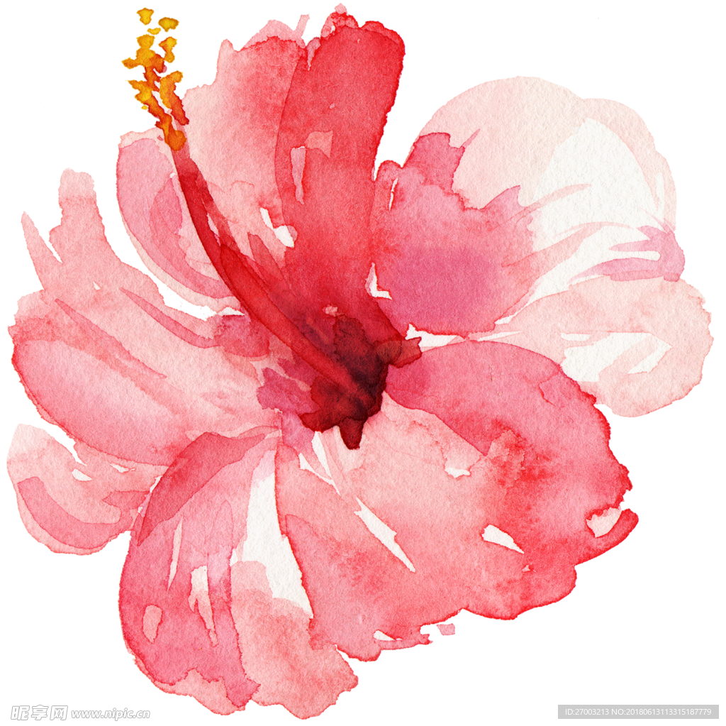 花卉