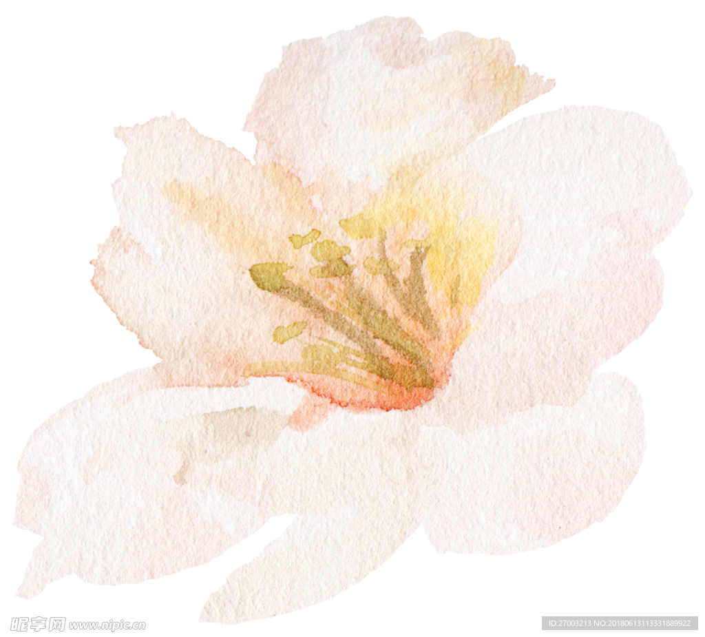 花卉