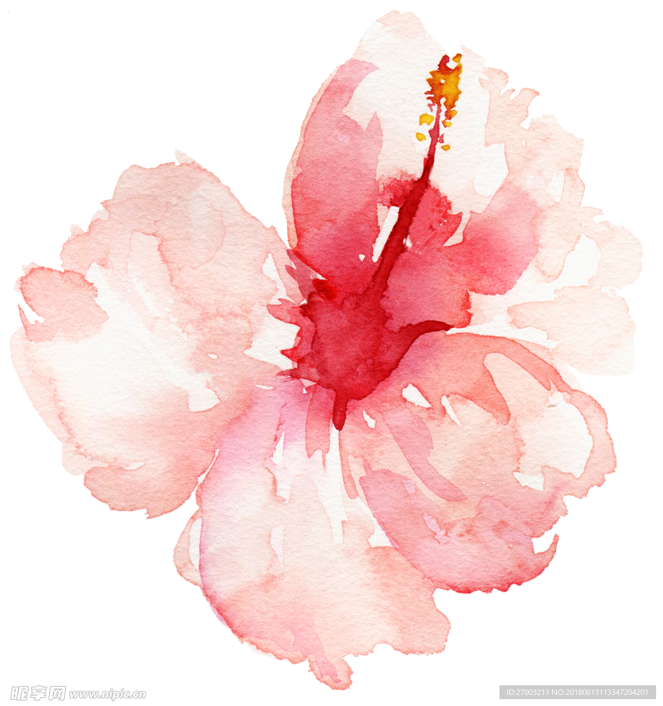 花卉