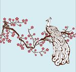 工笔画孔雀