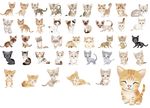 手绘猫