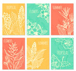 6款创意白色夏季热带植物卡片