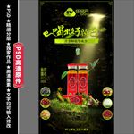 保健品 森林大气海报 暗光