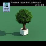 3D灌木模型 3D植物模型