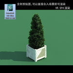 3D灌木模型 3D植物模型