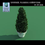 3D灌木模型 3D植物模型