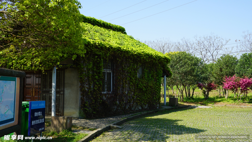 淀山湖畔