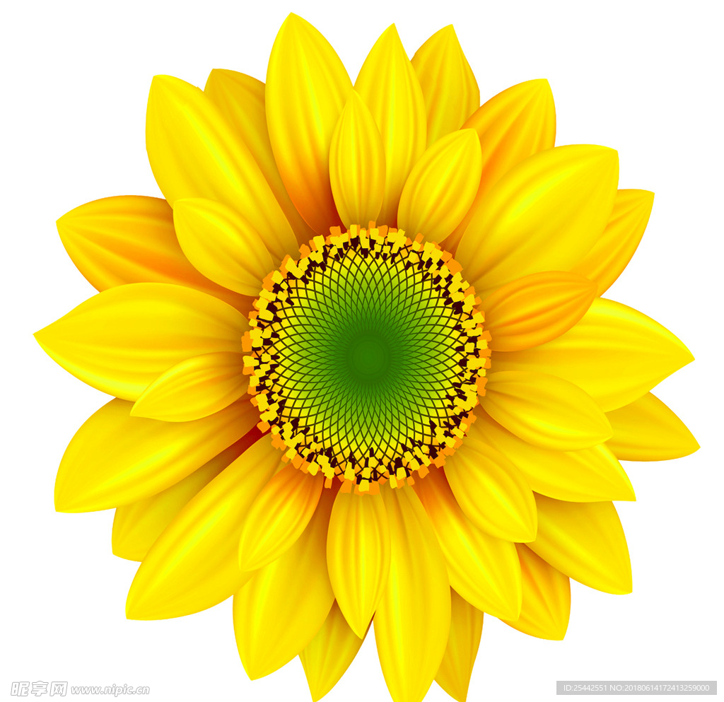 葵花