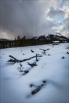 雪 富士山冷 冬季 冬季雪景