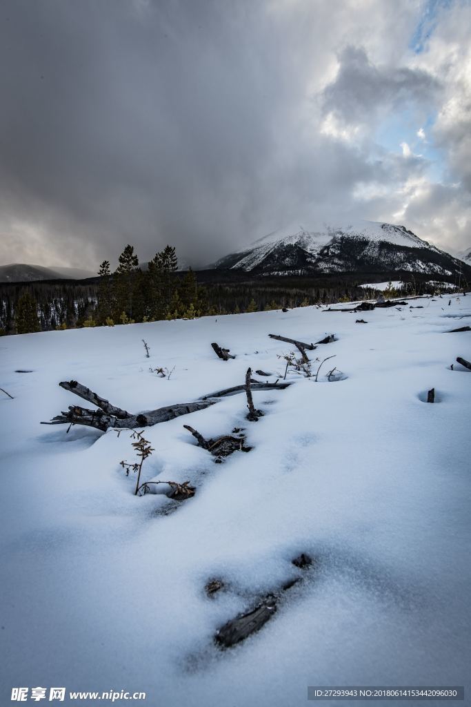 雪 富士山冷 冬季 冬季雪景