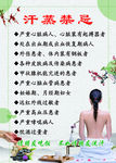 汗蒸功效