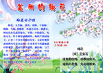 梅花小报