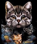 大小4只可爱的猫咪