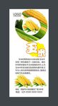 玉米展板