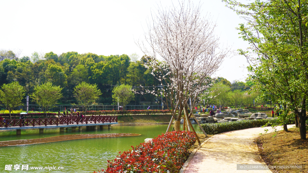 玉湖公园