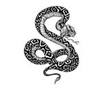矢量手绘动物蛇纹身图案