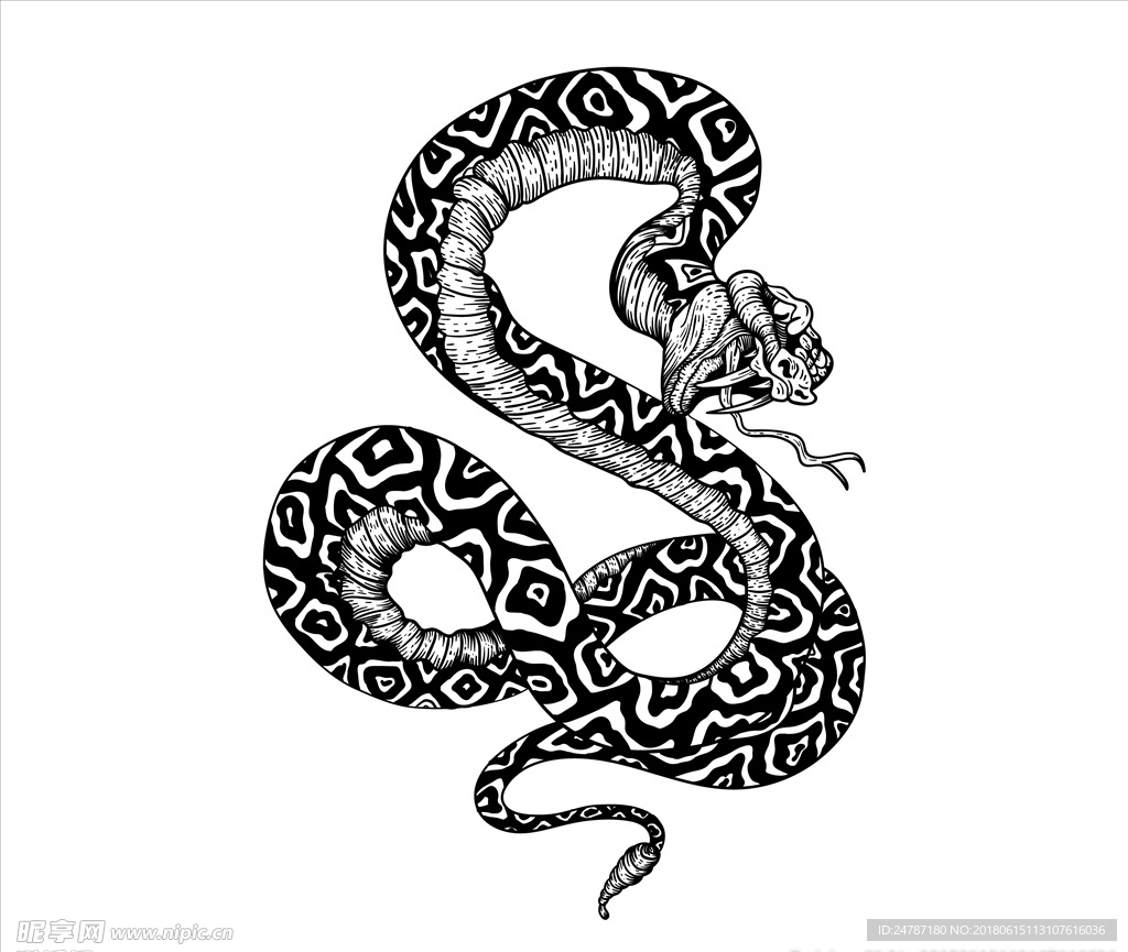 帅到爆炸的纹身图案——蛇 - 知乎