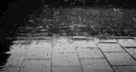 雨 地板 水