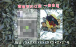 花甲 名片
