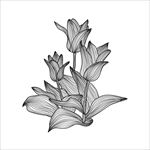 线条花图片