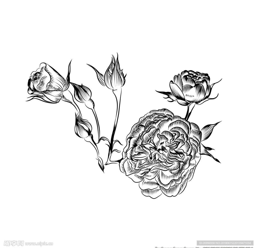线条花图片