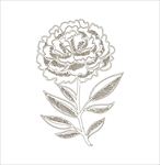 线条花图片