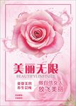 美容海报