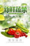新鲜蔬菜