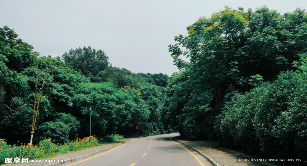 公路风景