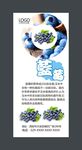 蓝莓展板