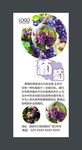 葡萄展板