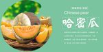 哈密瓜展板