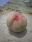 桃子