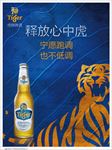 虎牌啤酒海报