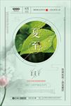 浅绿色清新简约二十四节气夏至海