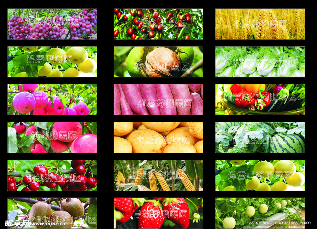 水果展区
