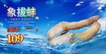象拔蚌