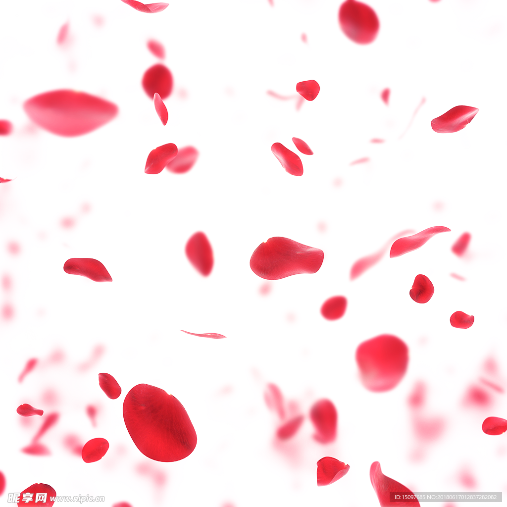 玫瑰花瓣