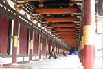 襄阳唐城