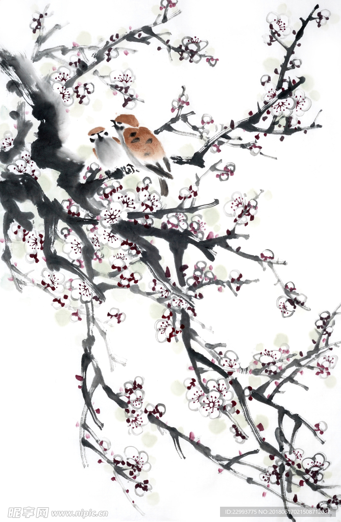 国画梅花