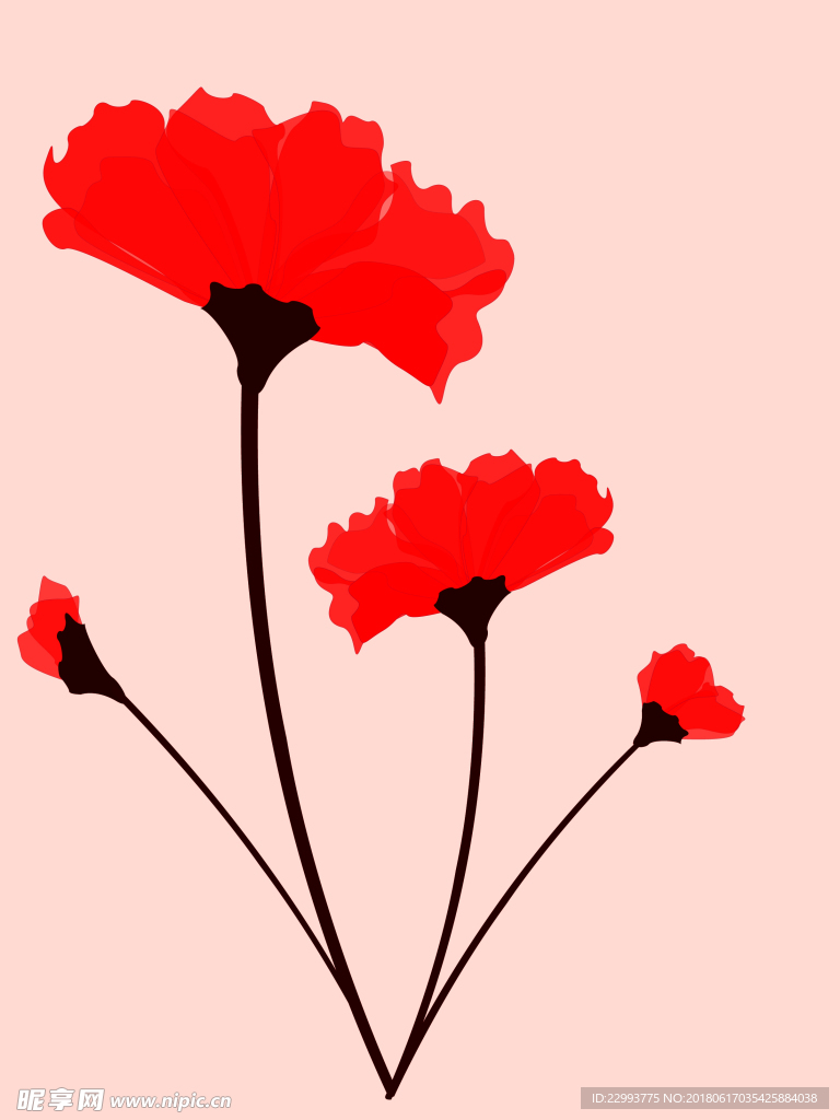 红色花卉